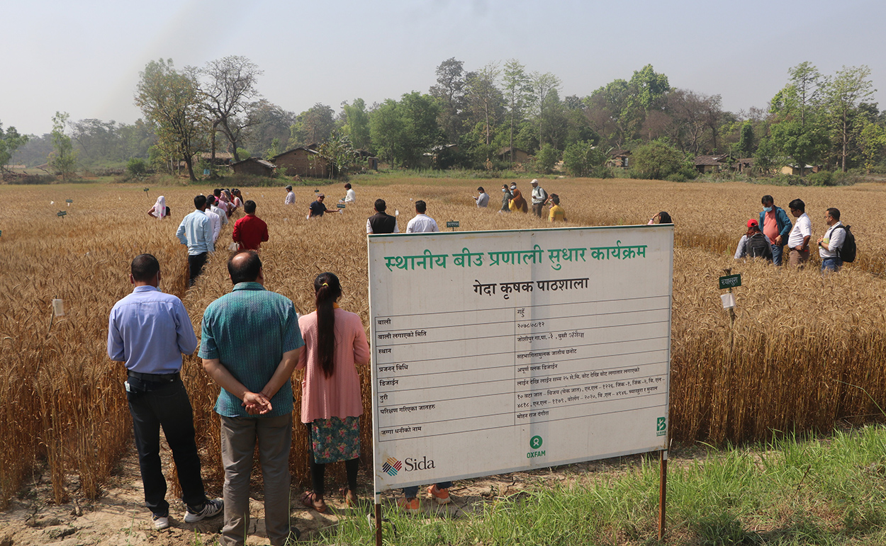Travelling seminar on Farmers Field School on Participatory Plant Breeding shows farmers’ varying preferences of crop varieties