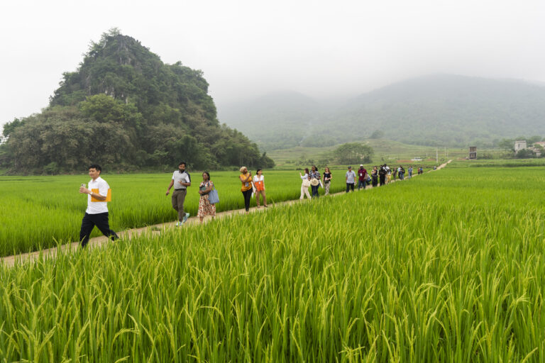 Learning from Hanoi: bridging gender gaps for a climate-resilient food future