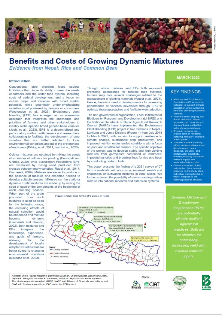 Benefits and Costs of Growing Dynamic Mixtures. Evidence from Nepal: Rice and Common Bean