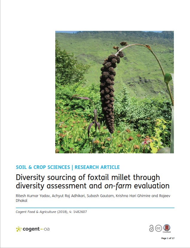 Diversity sourcing of foxtail millet through diversity assessment and on-farm evaluation