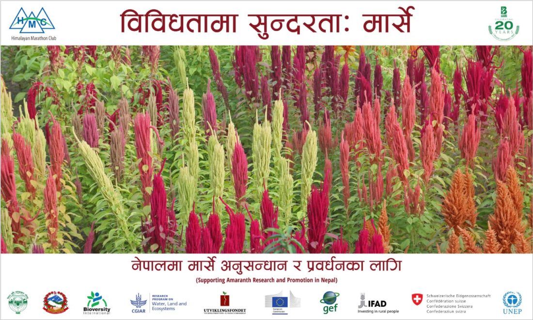 विविधतामा सुन्दरताः मार्से