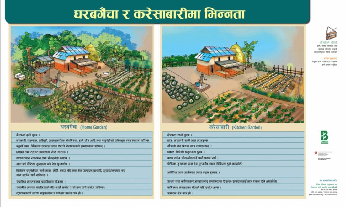 घरबगैंचा र करेसाबारीमा भिन्नता