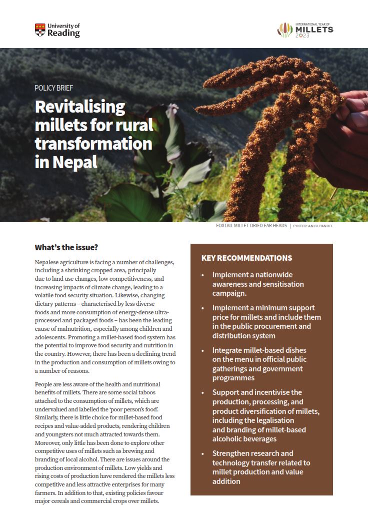 Revitalising millets for rural transformation in Nepal (Policy Brief)
