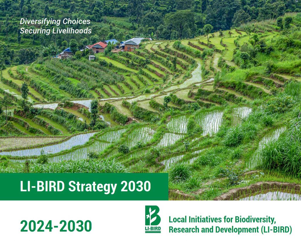 LI-BIRD Strategy 2030 (2024-2030)